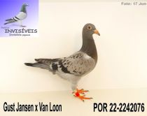 POR 22-2242076